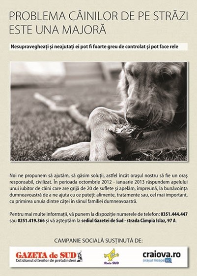 Print Design: Print Advertising Design