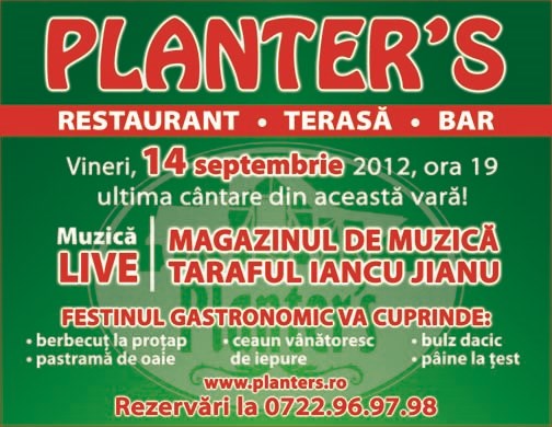 Print Design: Print Advertising Design