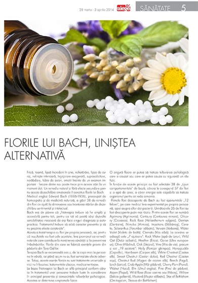 Print Design: Magazines